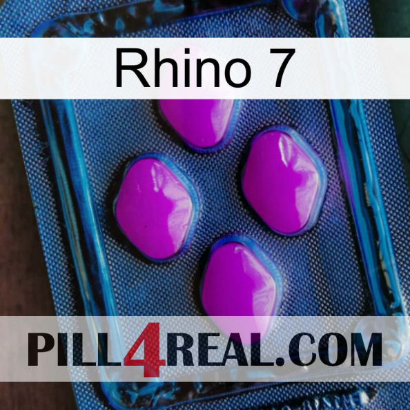 Rhino 7 04.jpg